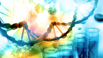 Photo of Oh My Genes review: the best DNA & microbiome test