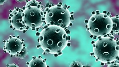 Photo of Best Home Remedies for Coronavirus