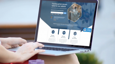 Photo of Business Web Hosting Packages by SeekaHost Review