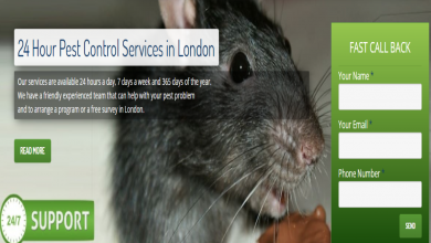 Photo of 5 Tips to Get Rid of Pests at Home by Yourself