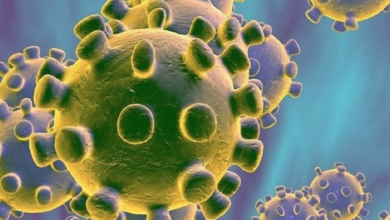 Photo of The Best Medicine For Corona Virus Is Olive Oil