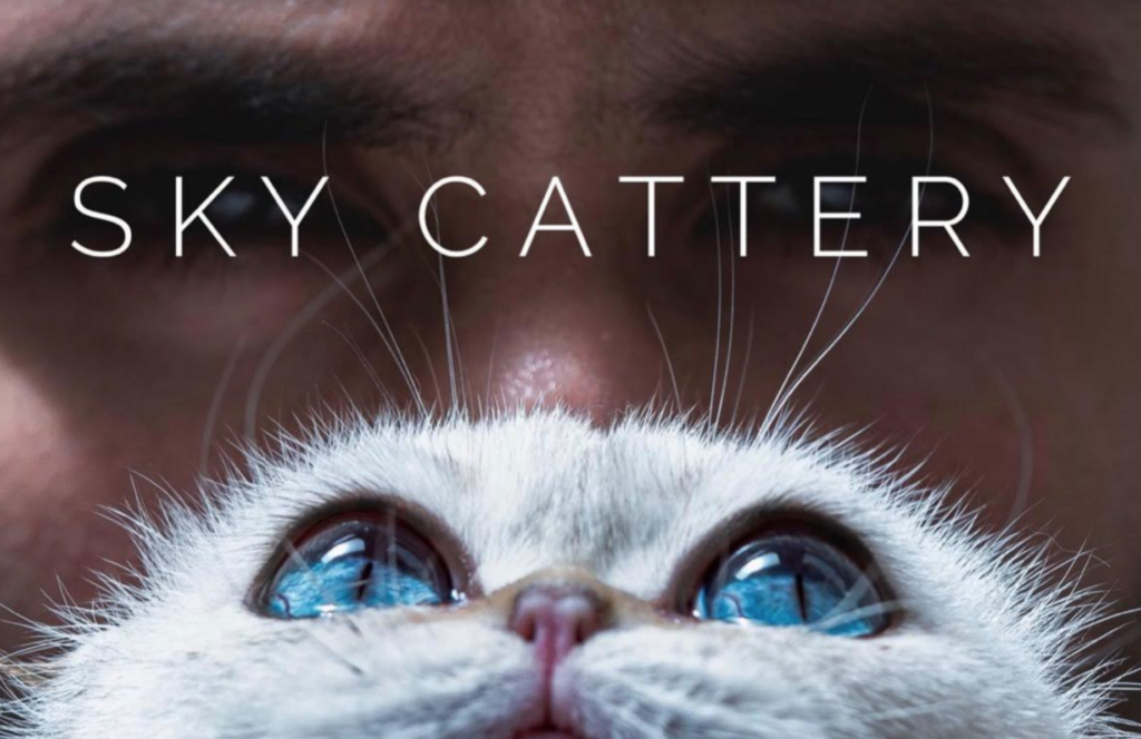 Sky Cattery