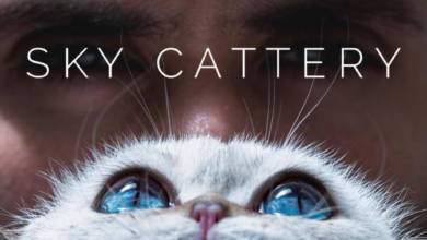 Photo of Sky Cattery: Breeding Catteries & Ethics