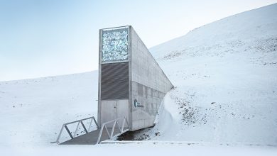 Photo of Update On The Svalbard Seed Vault Initiative