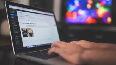 Photo of A regular wordpress website maintenance checklist