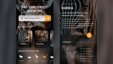 Photo of Top 5 Most Popular Safari Destinations In Africa