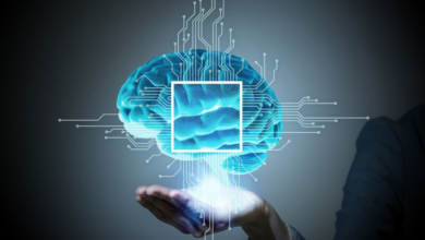 Photo of What is a Neuropsychological Evaluation?