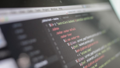 Photo of Fundamentals of Computer Programming and Information Technology