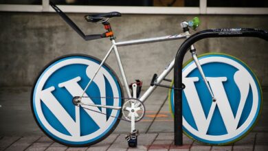 Photo of 5 essential Plugins for A Fresh WordPress Site