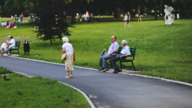 Photo of 3 Summer Activities for Seniors