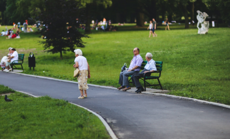 3 Summer Activities for Seniors
