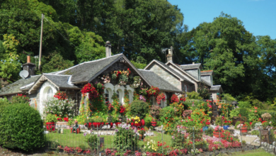 Photo of 4 Ways to Improve Your Garden