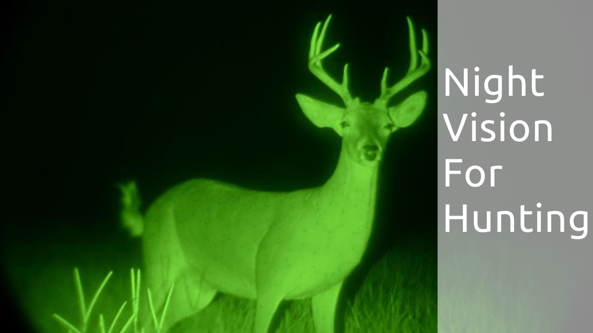 What Do You Need To Know About Night Vision For Hunting? IMC Grupo