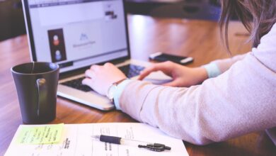Photo of Best Tips on How To Write A Professional Student CV