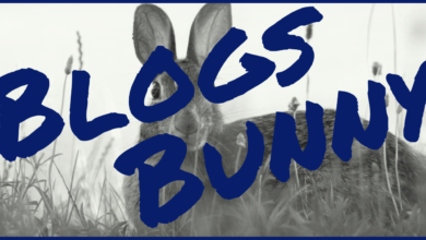 Photo of BlogsBunny: Expect the Best