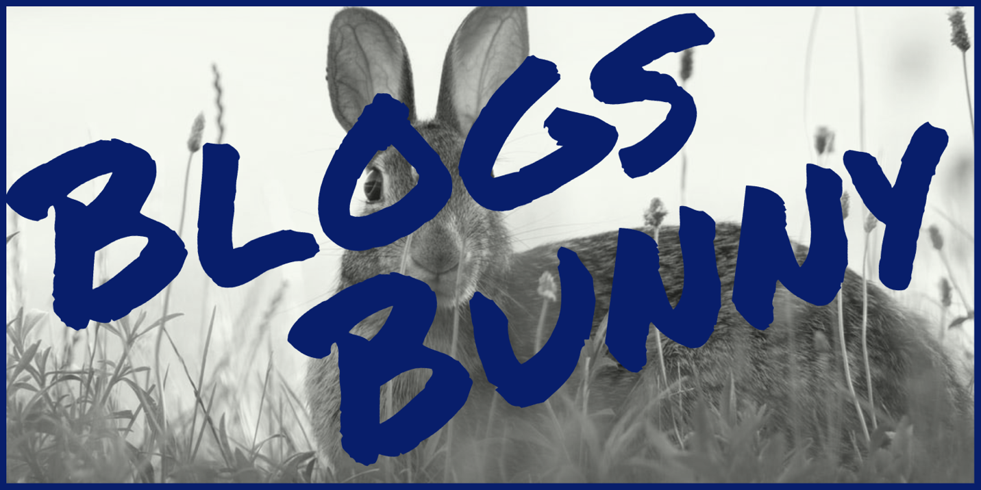 BlogsBunny: Expect the Best