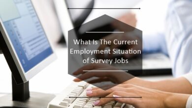 Photo of What Is The Current Employment Situation of Survey Jobs?