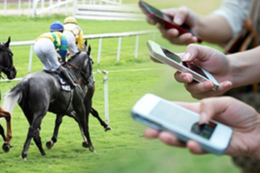 The Growing Popularity of the Horse Races Explained