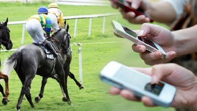 Photo of The Growing Popularity of the Horse Races Explained