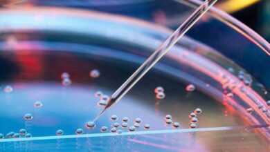Photo of What you must know about MS Stem Cell Research
