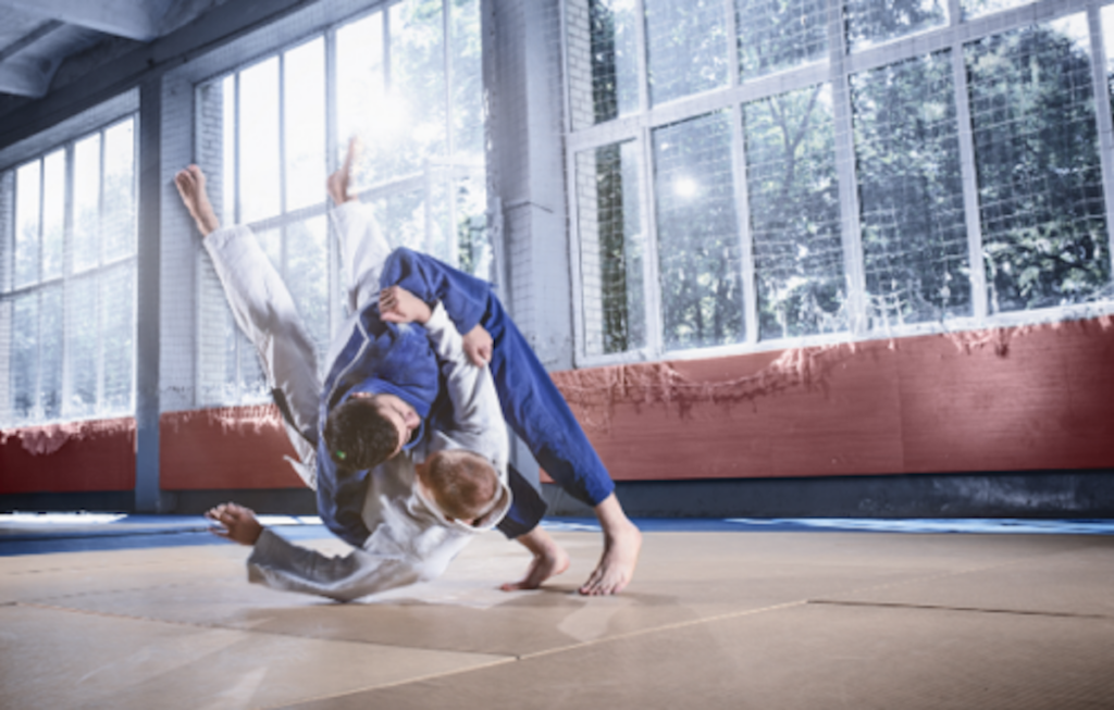 SEO Judo: How to Use Your Opponent’s Size Against Them