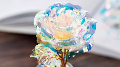 Photo of Surprise Your Loved Ones with Galaxy Rose