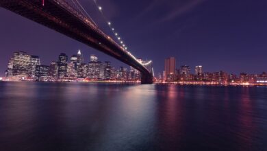 Photo of 8 Tips for Expats Living in the USA