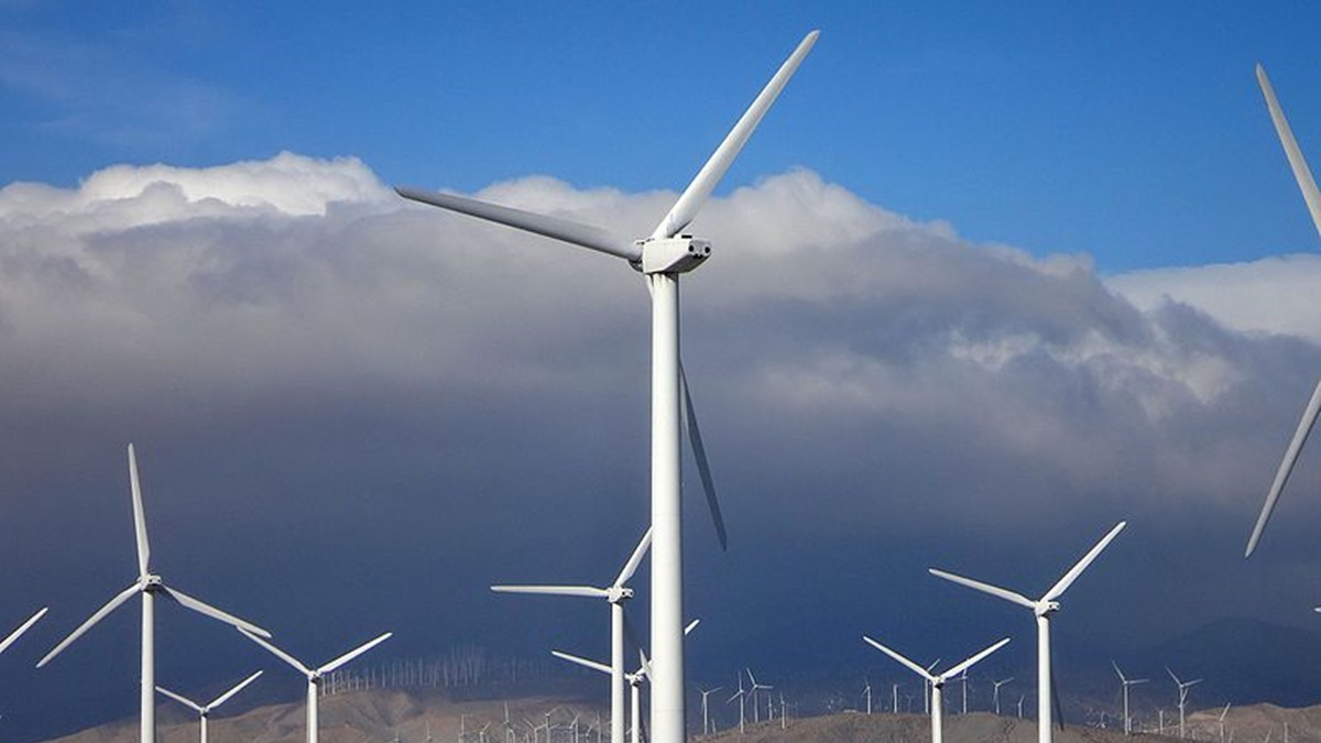 5 Tips for Establishing a Wind Farm Business