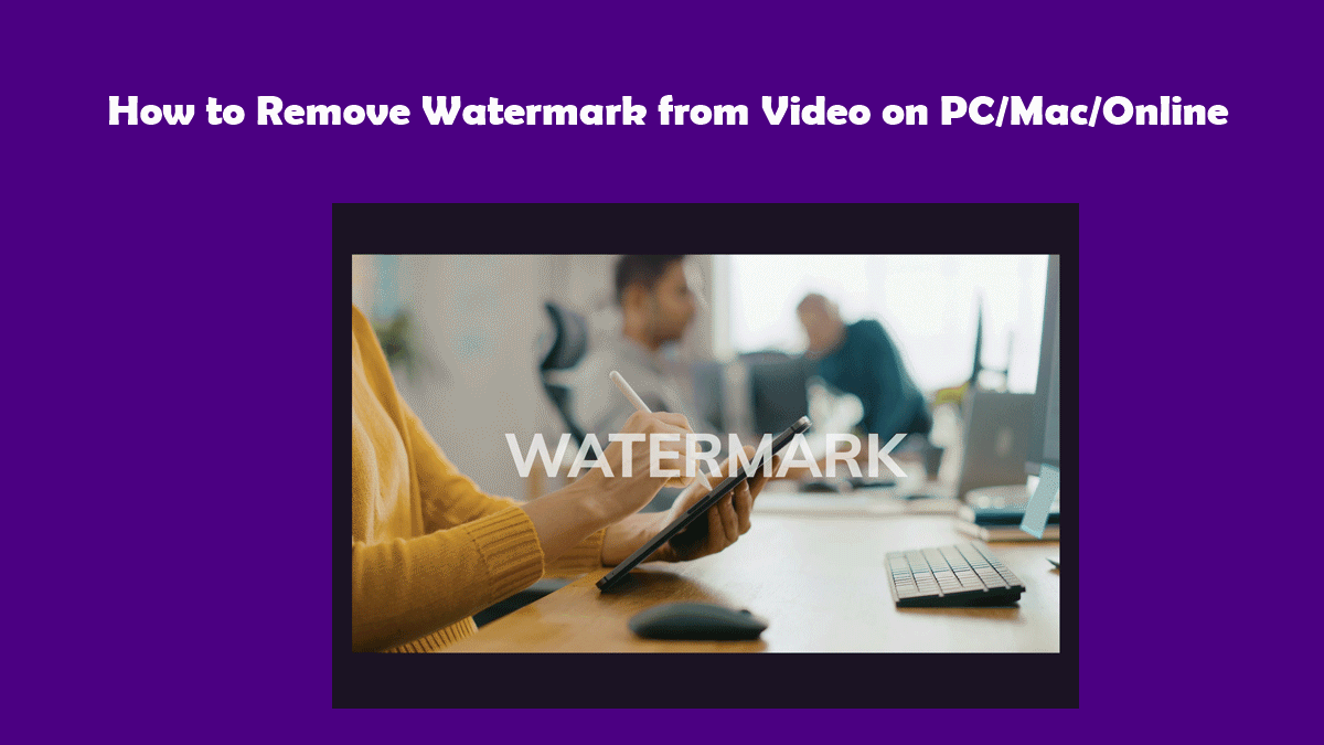 How to Remove Watermark from Video on PCMacOnline