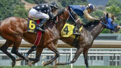 Photo of The C.F. Orr Stakes 2021 – Latest News History & Tips