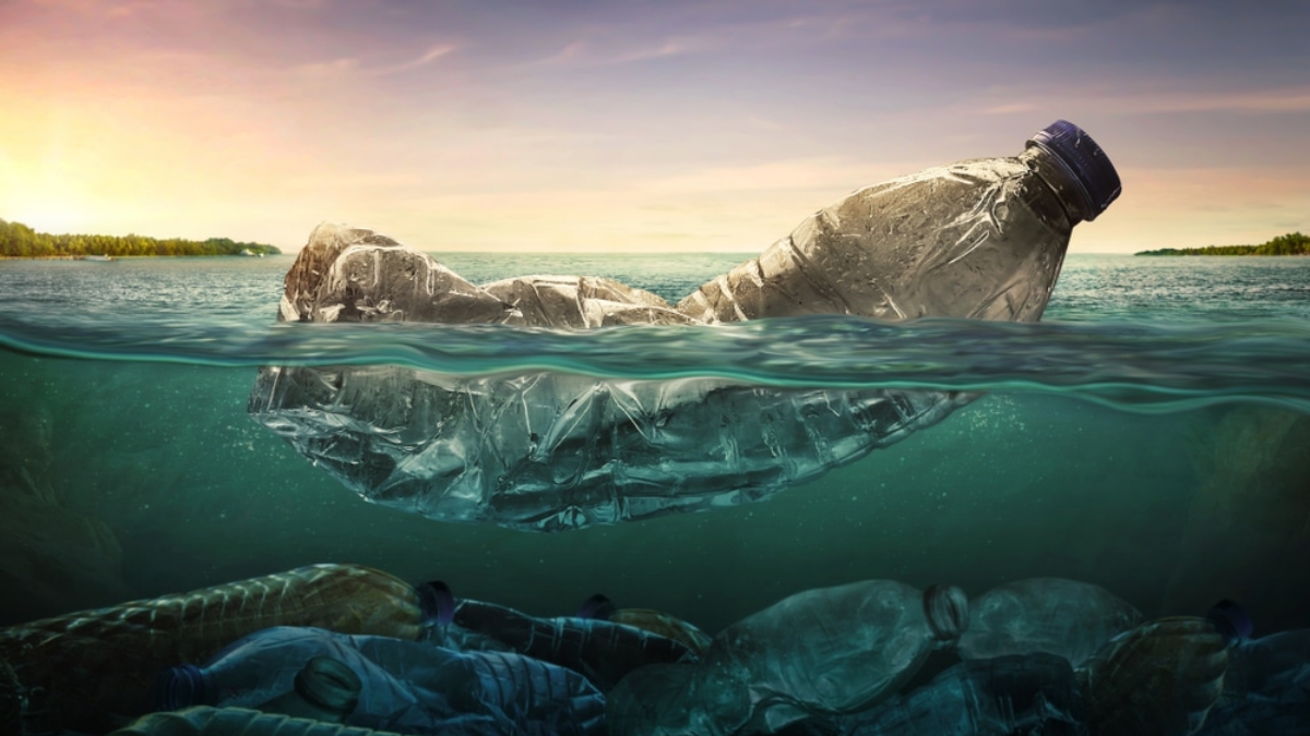 Water pollution and its impact in our life