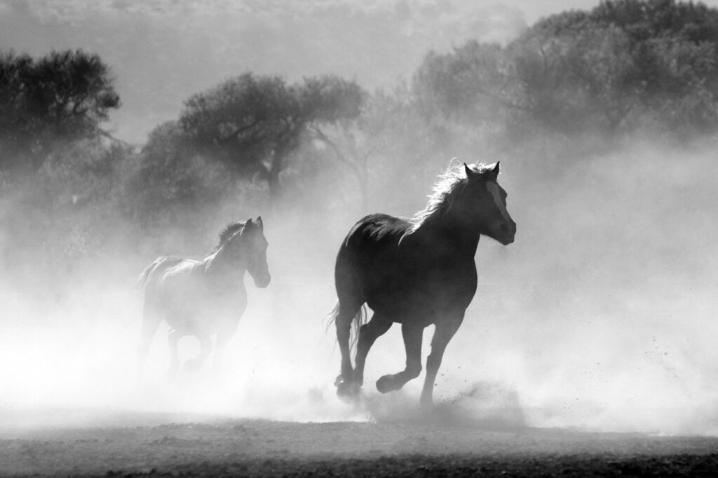 A Look Back at Horse Racings Greatest Runners