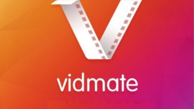 Photo of Pros and Cons of Using Vidmate
