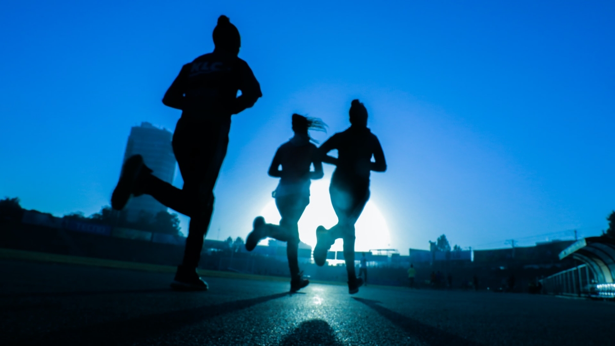 Why Pursue A Career in Sports Analysis