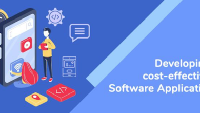 Photo of How To Develop Cost-Effective Software Application
