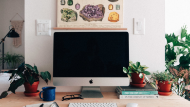 Photo of How to Bloom Where You’re Planted