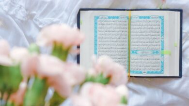 Photo of Learning The Quran Online For Free – A Revolutionary Strategy