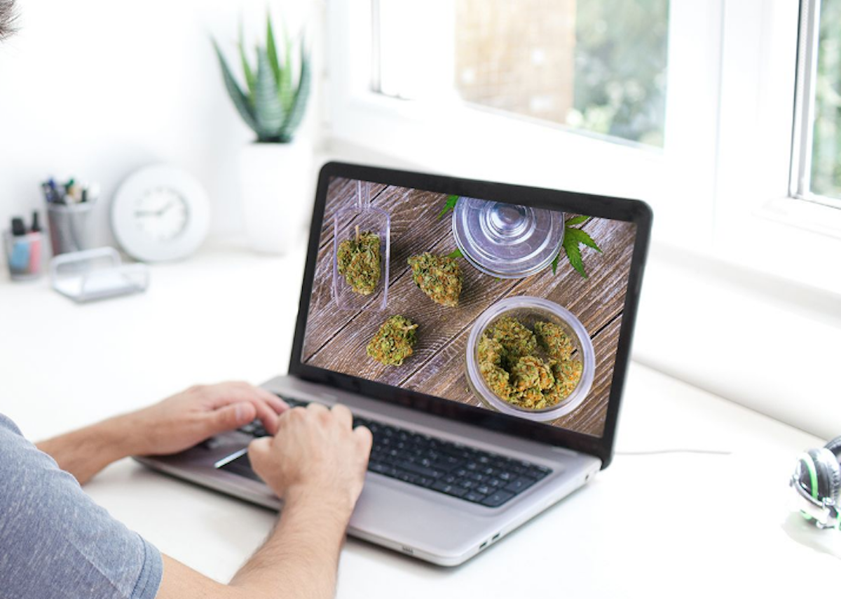Looking For Cheap Weed Deals? Don't Worry, We Have Got The Guide Here!