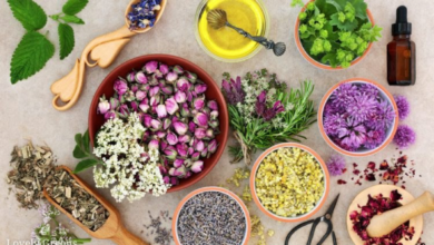 Photo of Some Common Flowers and Their Herbal Uses