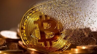 Photo of Cryptocurrency Investing with Yuan Pay Team – A New World