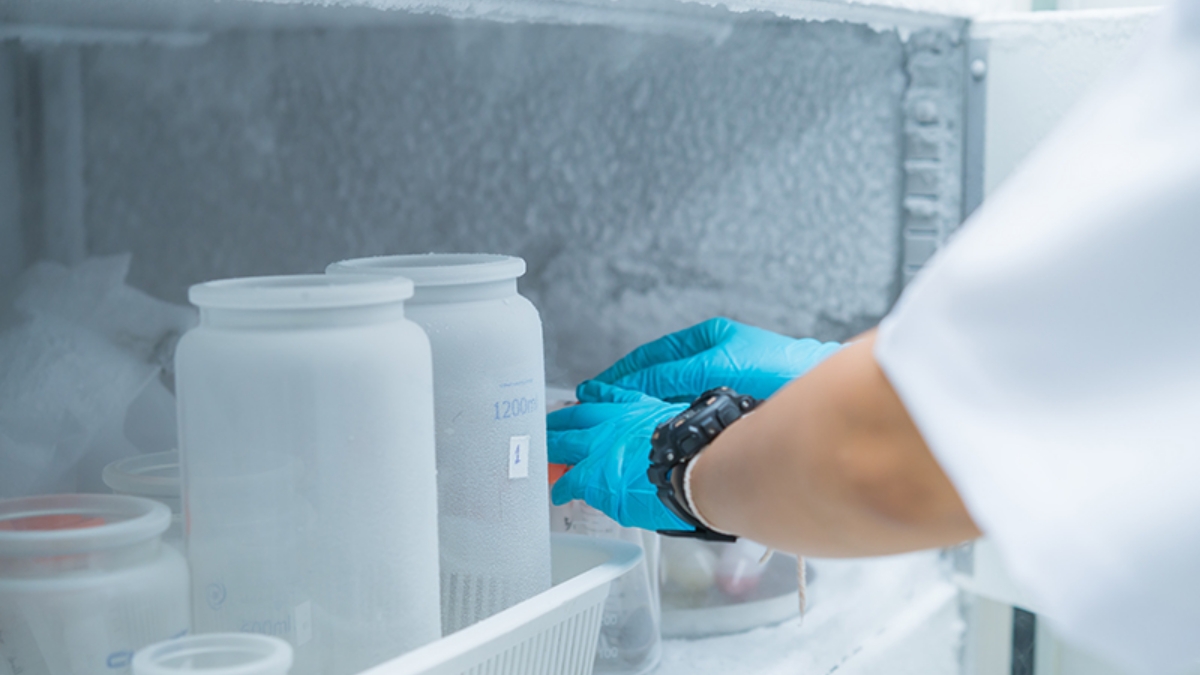 Secure Storage of Temperature Sensitive Pharmaceuticals