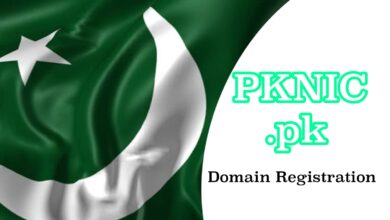 Photo of What is PKNIC Registry Provider?
