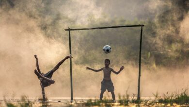 Photo of How to be Sports Statistician as a Great Resource