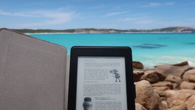 Photo of The Best Pdf Reader Apps for The Android Users
