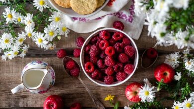 Photo of Top 5 organic food diets for your canine friends