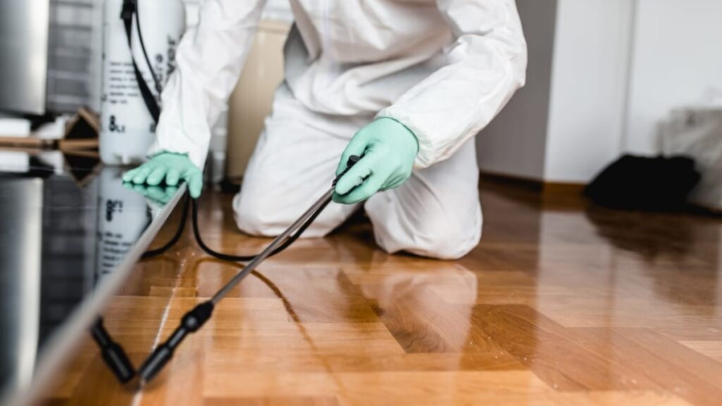 4 Easy Tips for Selecting an Exterminator in Marlborough