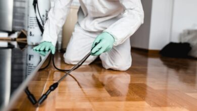 Photo of 4 Easy Tips for Selecting an Exterminator in Marlborough