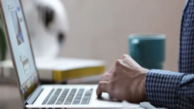 Photo of How to Choose the Best Carpet Cleaning Company