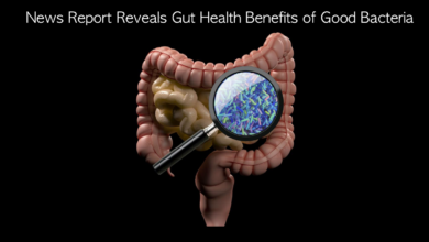 Photo of News Report Reveals Gut Health Benefits of Good Bacteria