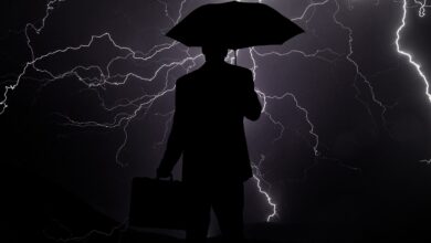 Photo of An Overview Of Director Disqualification